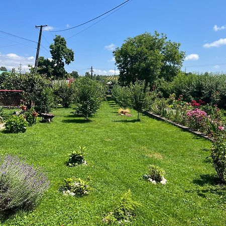 Accommodation Casa Luca Хорезу Экстерьер фото