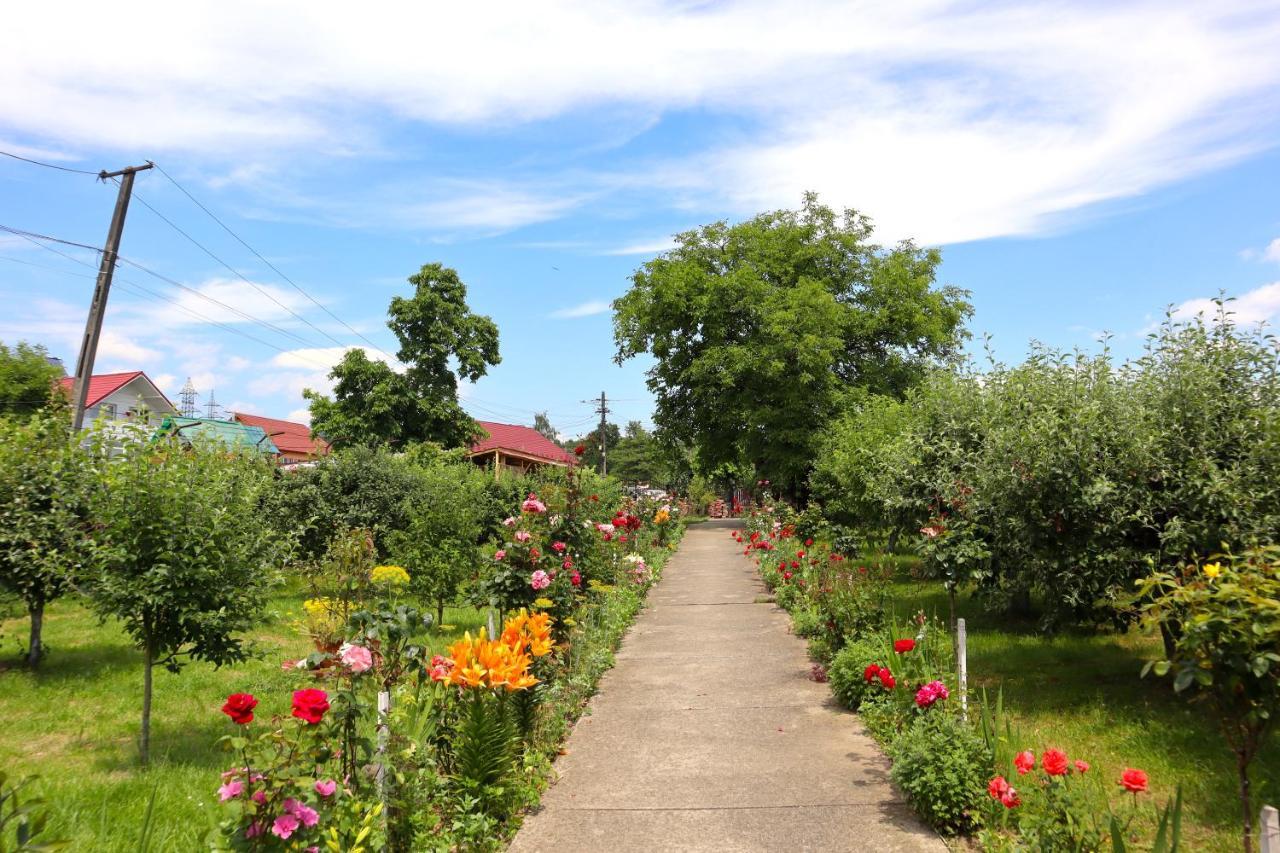 Accommodation Casa Luca Хорезу Экстерьер фото